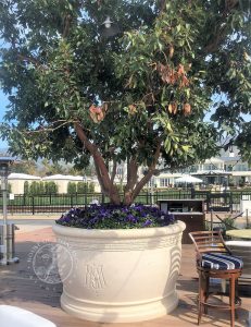 PAGE-17-ROSEWOOD-MIRAMAR-HOTEL-MONTECITO-CA-(RIVERA-BEIGE)
