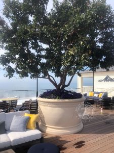 PAGE-17-ROSEWOOD-MIRAMAR,-MONTECITO-CA-(RIVERA-BEIGE)