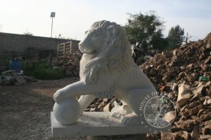 image20